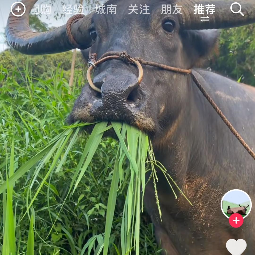 星期八M L