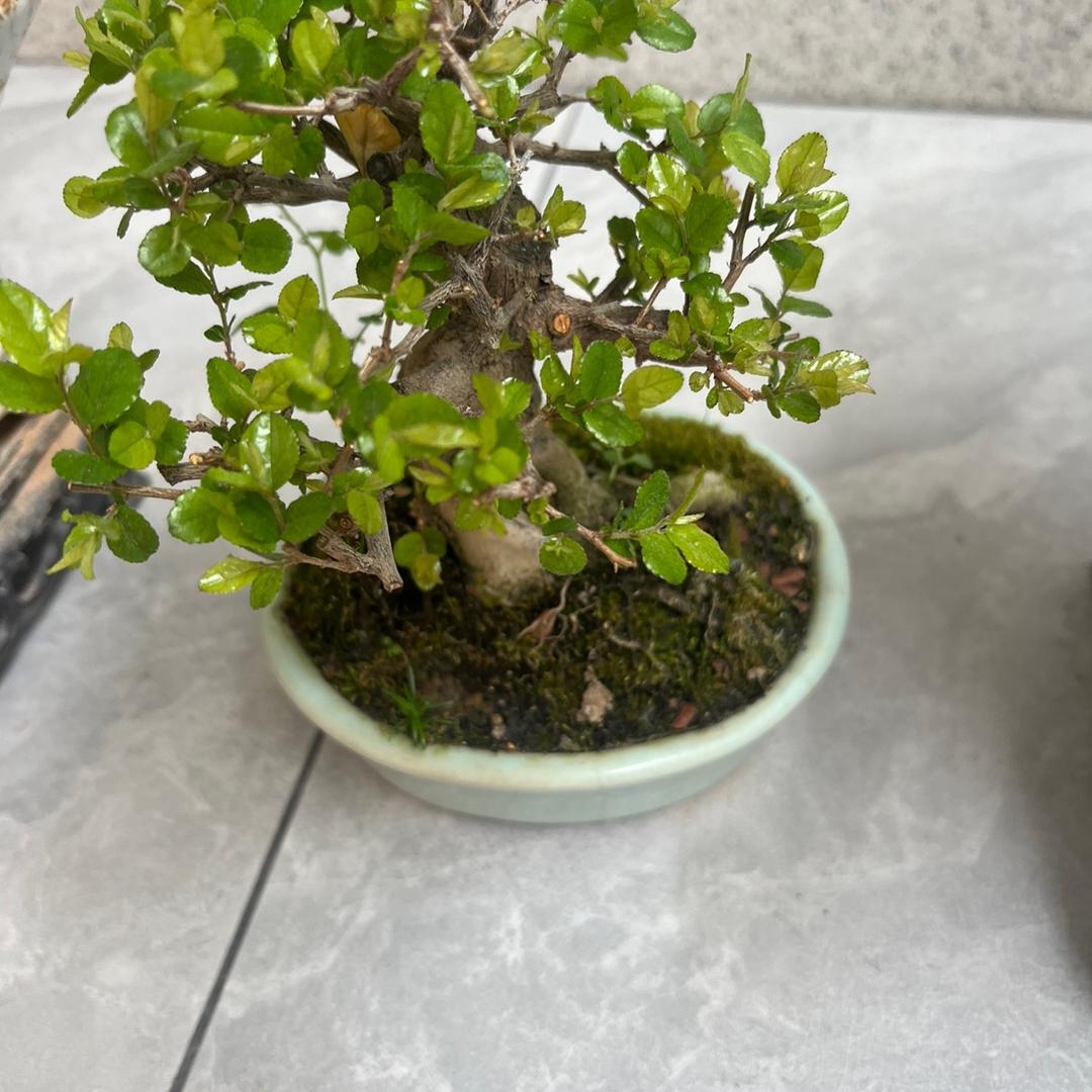 你是谁
