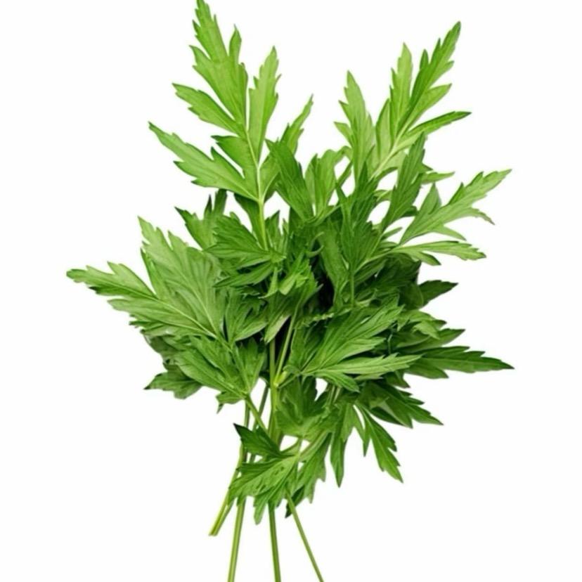 蓝莓味的红辣椒