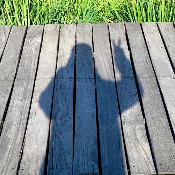胡先森的生活日记
