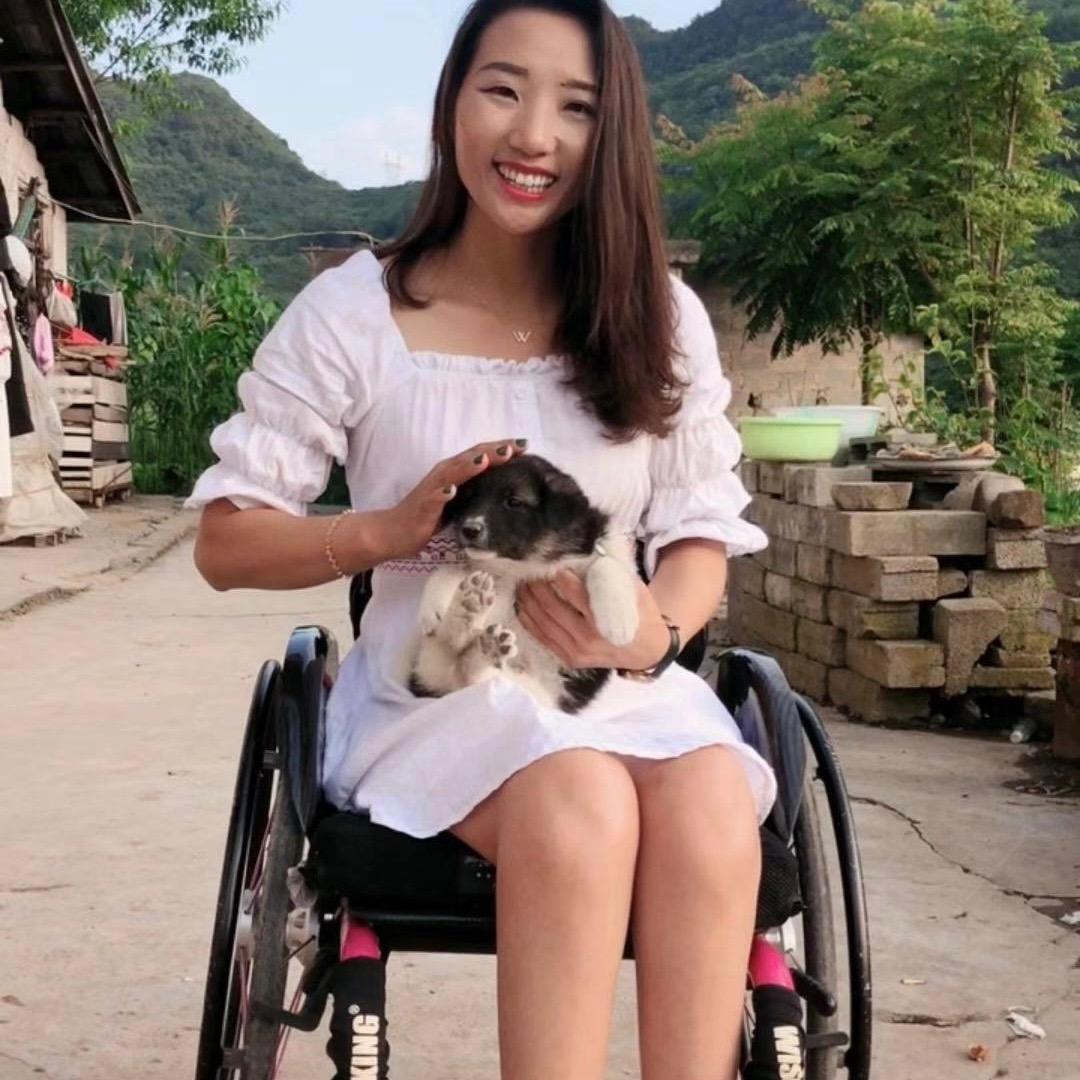 断翅孤雁