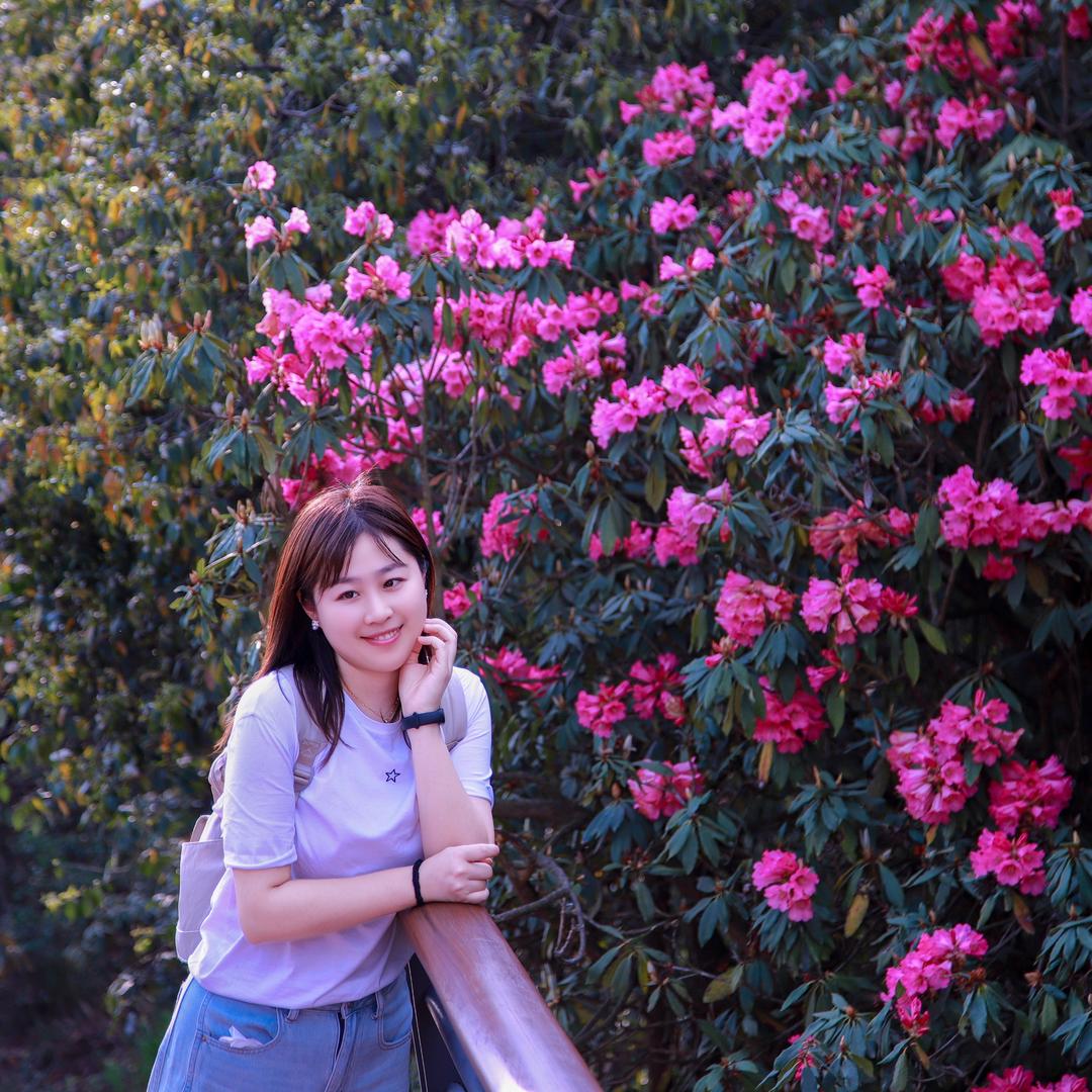 小鱼儿-