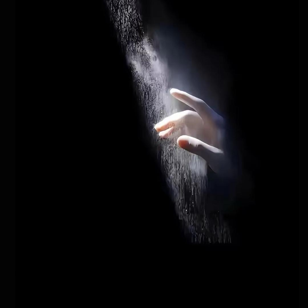 A——小趴菜🤩🍊🍊