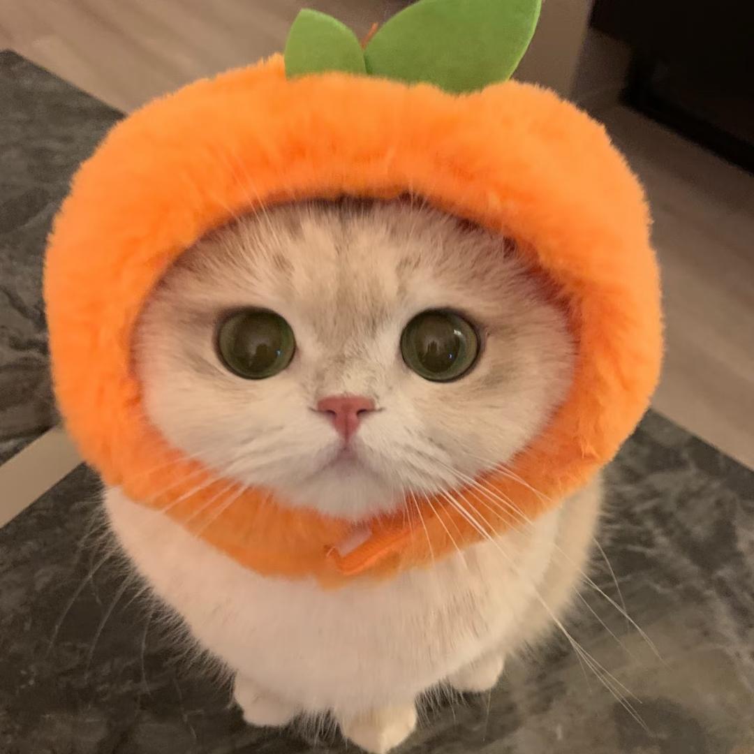 芝士牛奶冰!