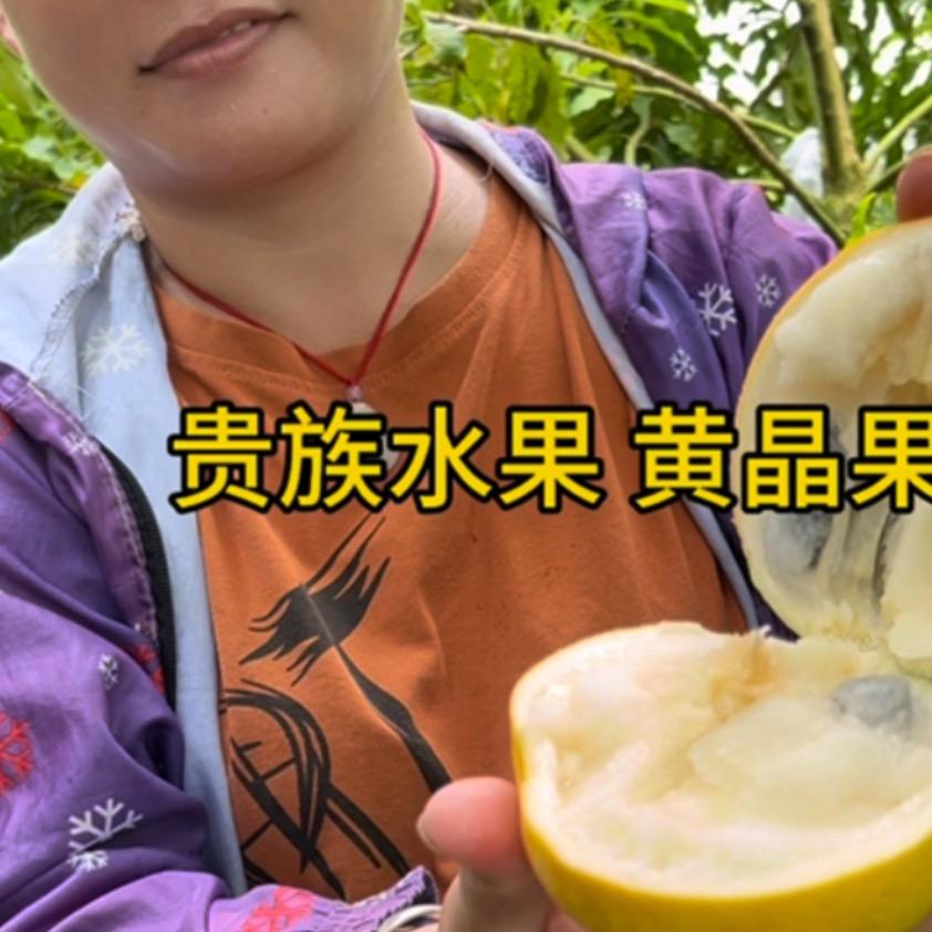 帝醇果佳果果树苗木专卖店