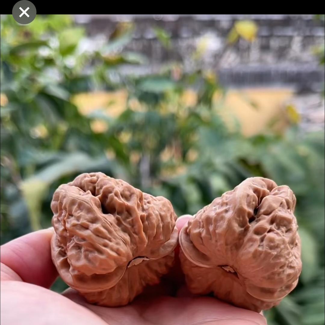多乐文玩工艺品