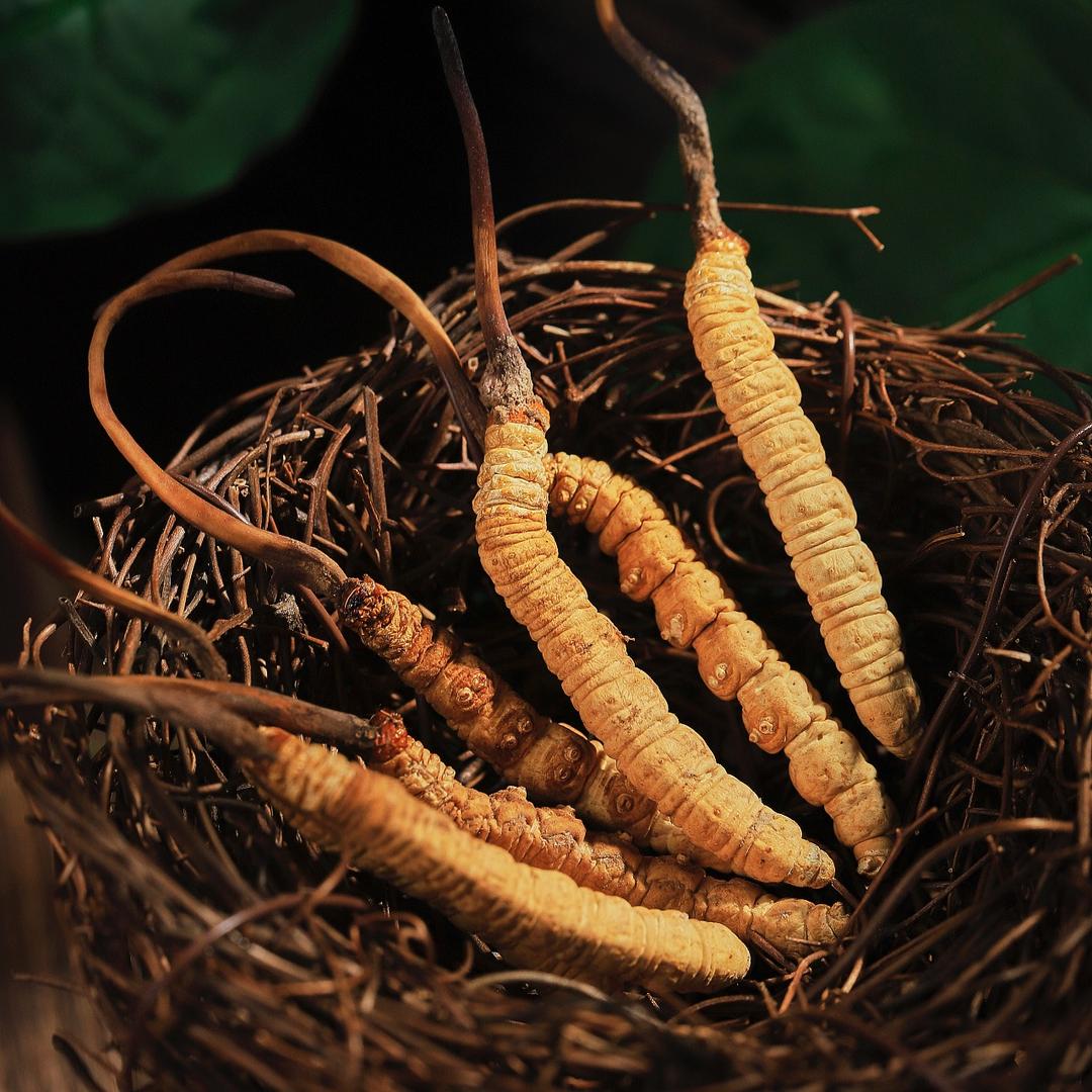 欢典景福堂滋补养生专卖店