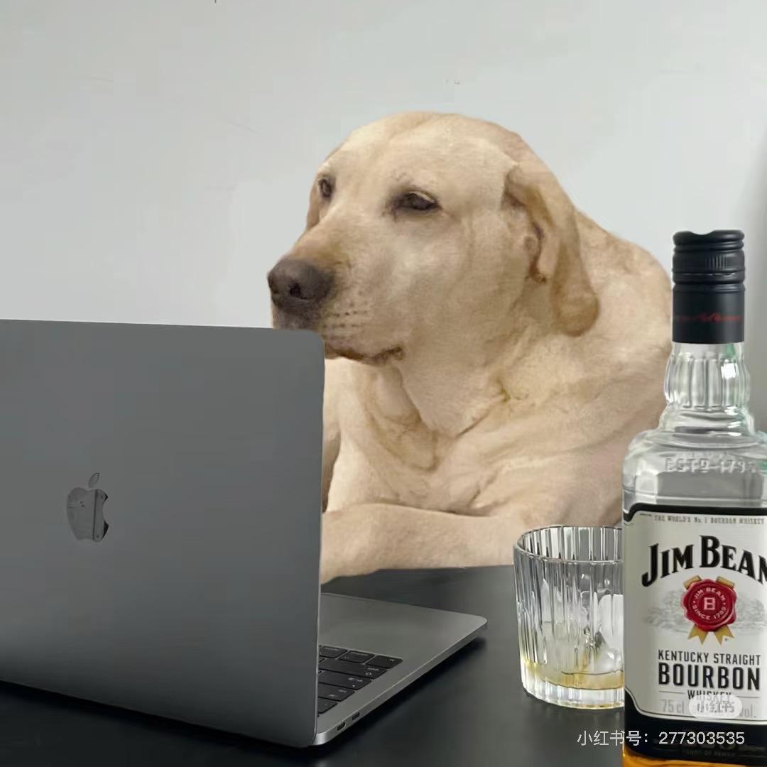 拉师傅小卖部(宠物版)