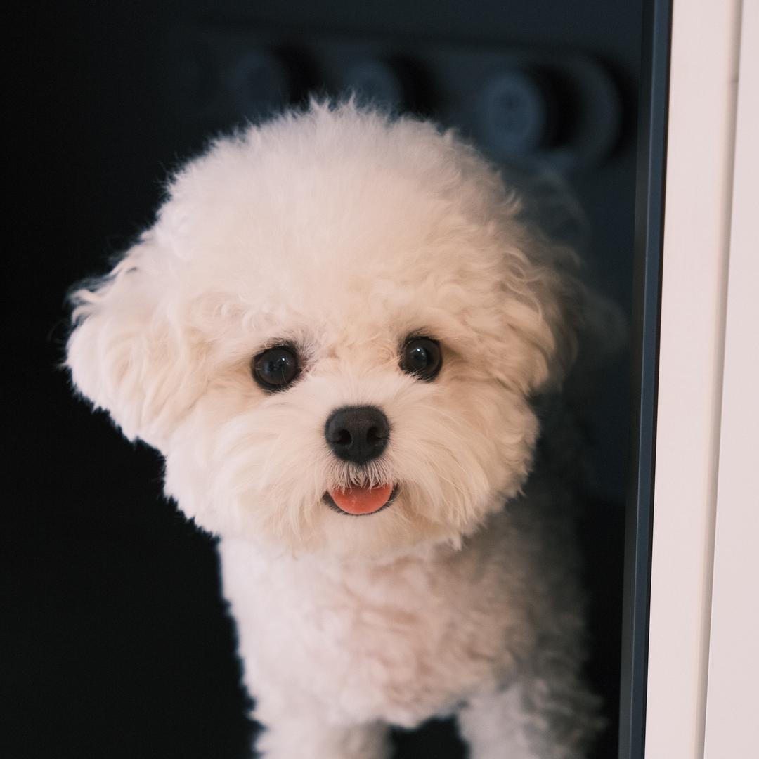小葵来咯