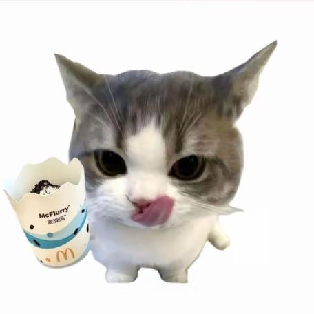 顾德猫宁