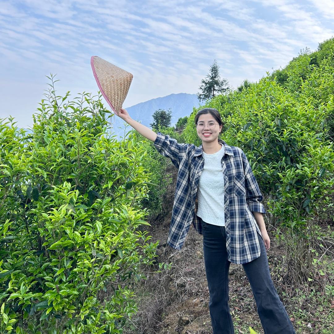 表姐单丛茶(17万粉丝福利支持试喝)