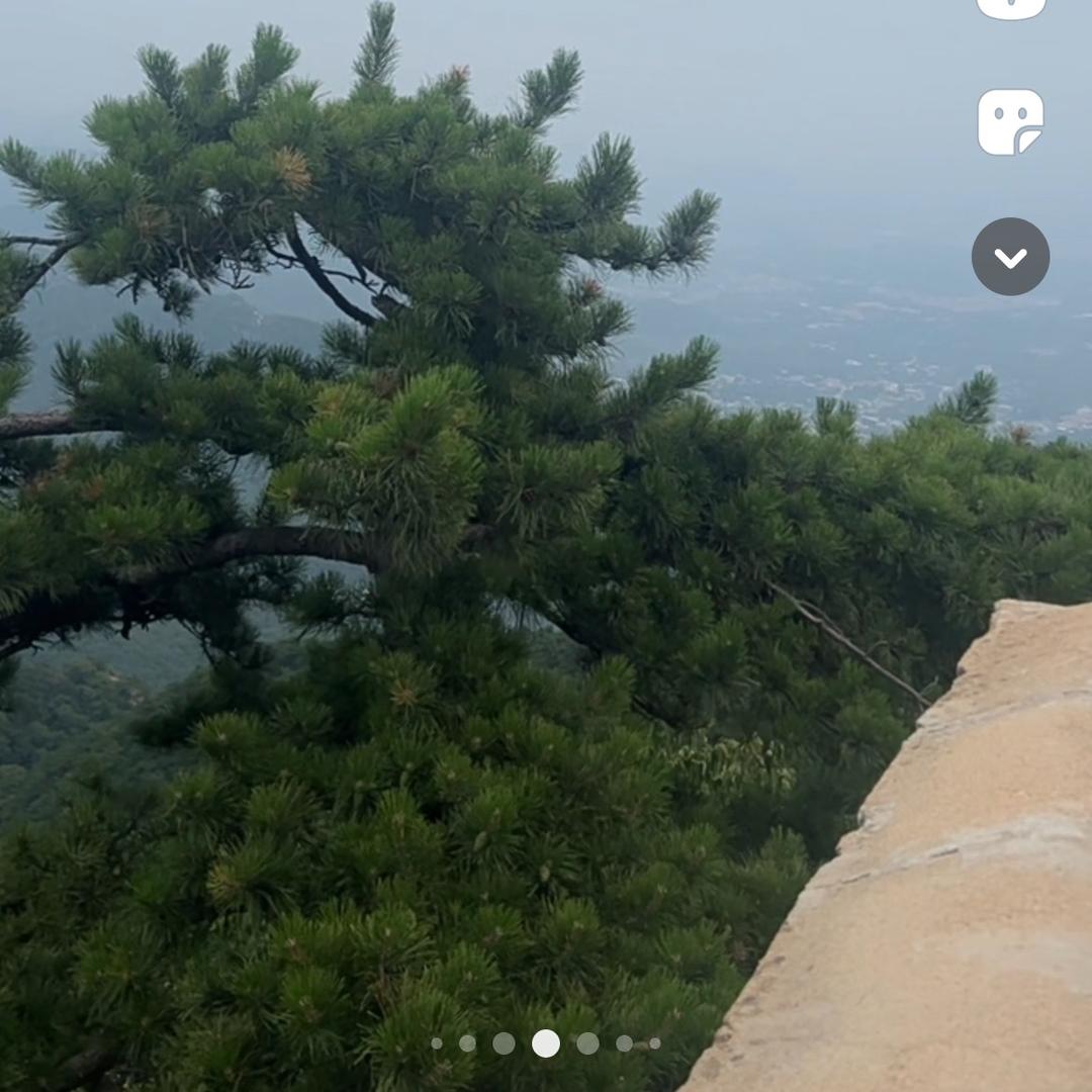 六婶《孕中期》