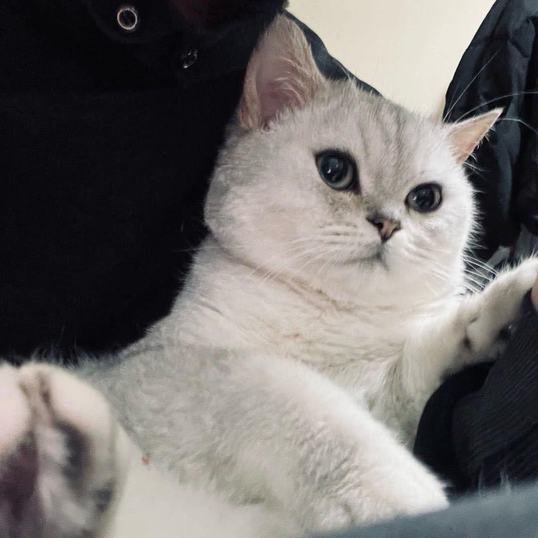 小瑜 ㅤ
