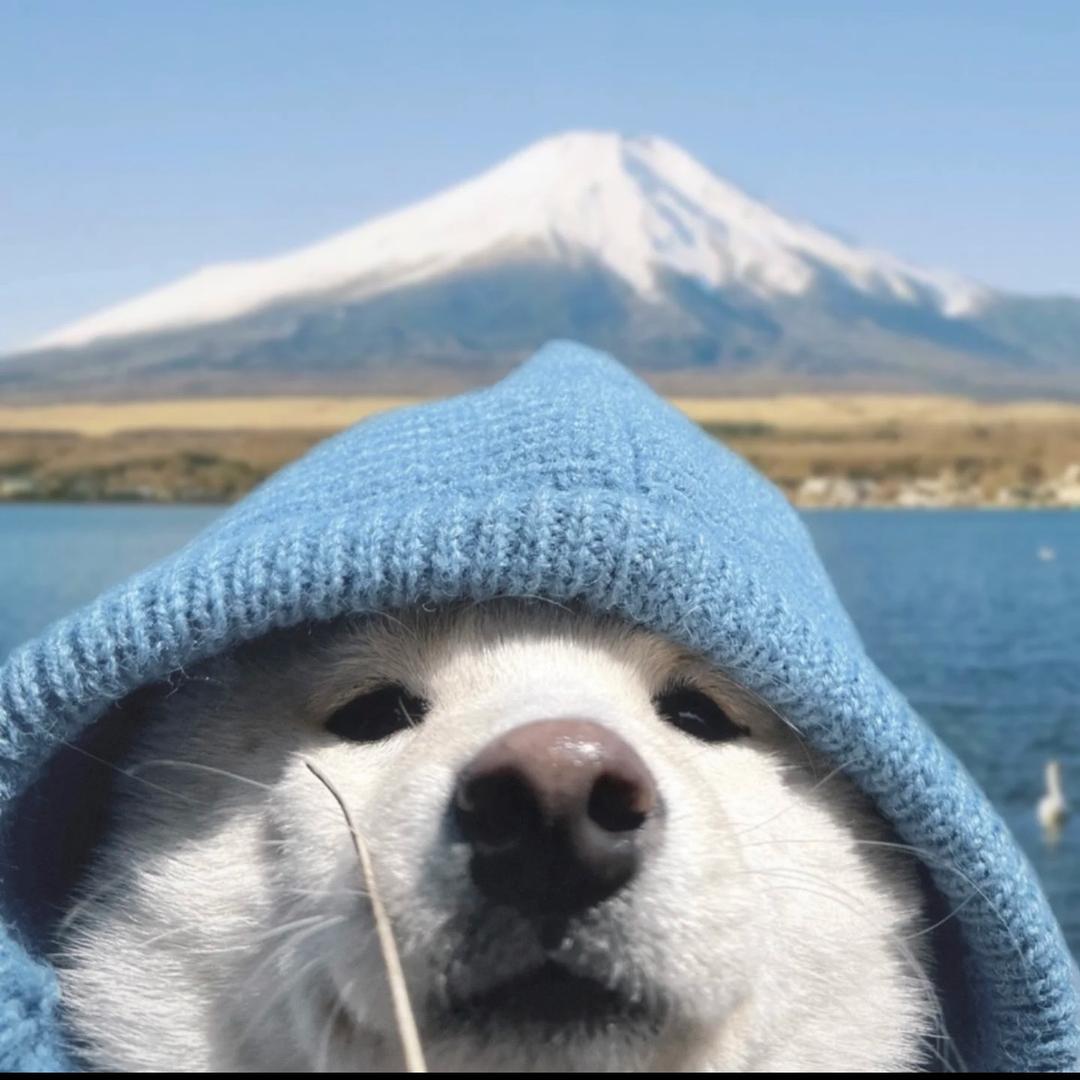 卷毛毛