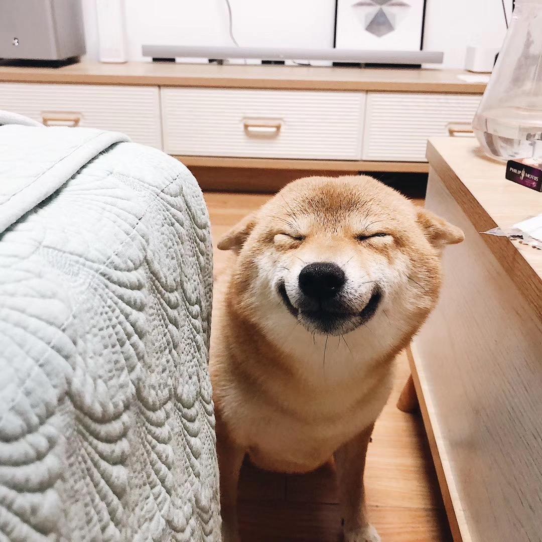 阿夕不肥