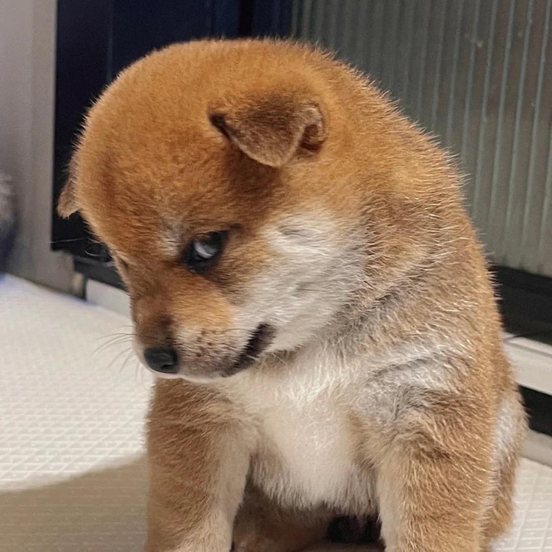 藤椒拓海