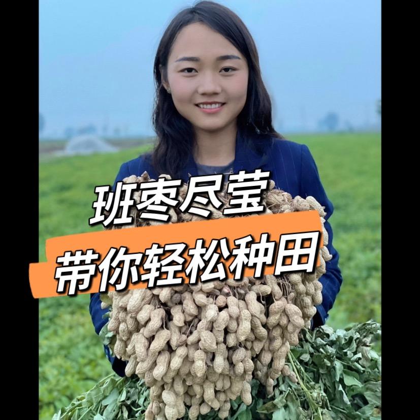 班枣尽莹农资（张邦华）
