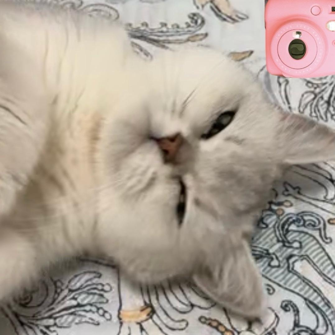 田田翔下祺😜（来财版）