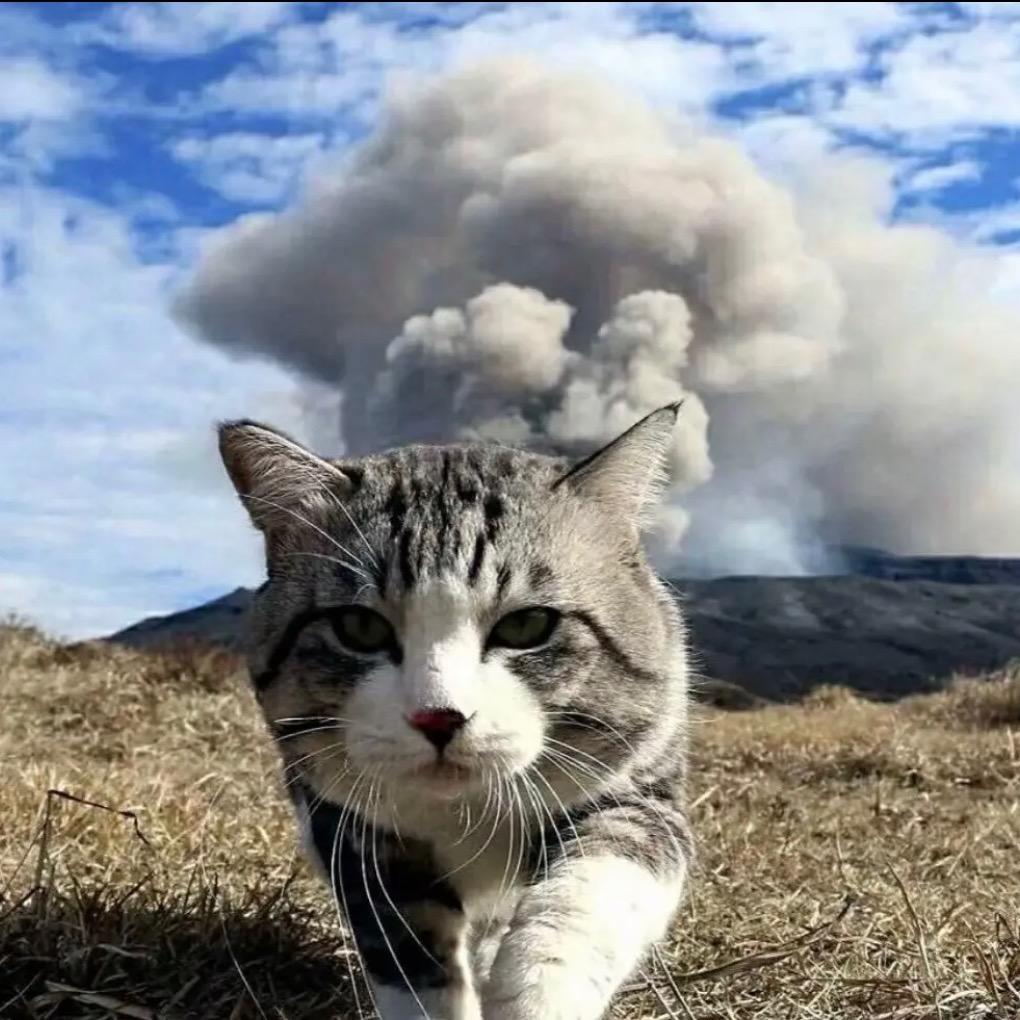 闫先生