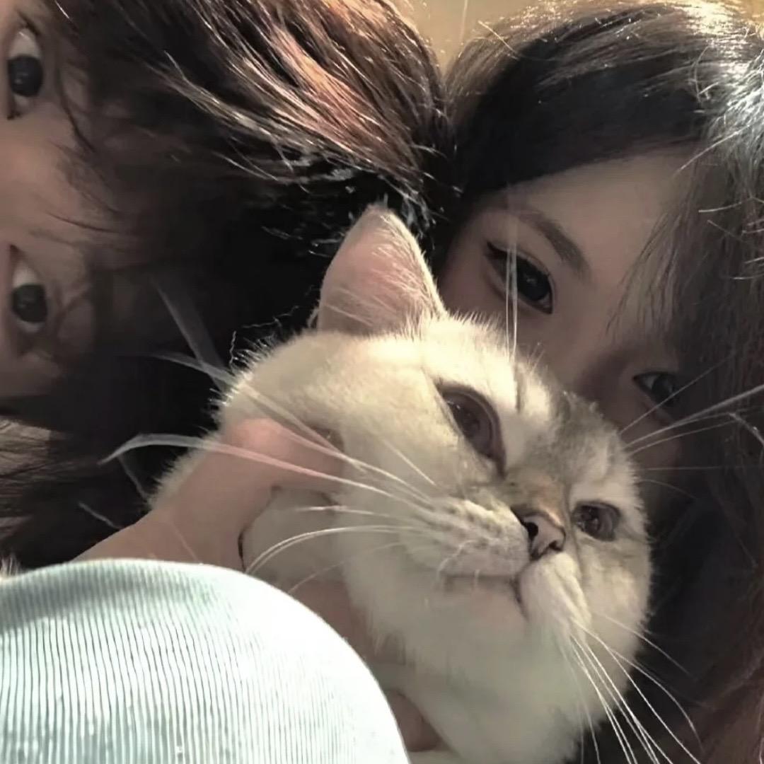 iu1.
