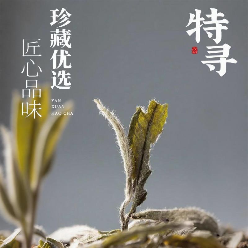 特寻茶叶企业店