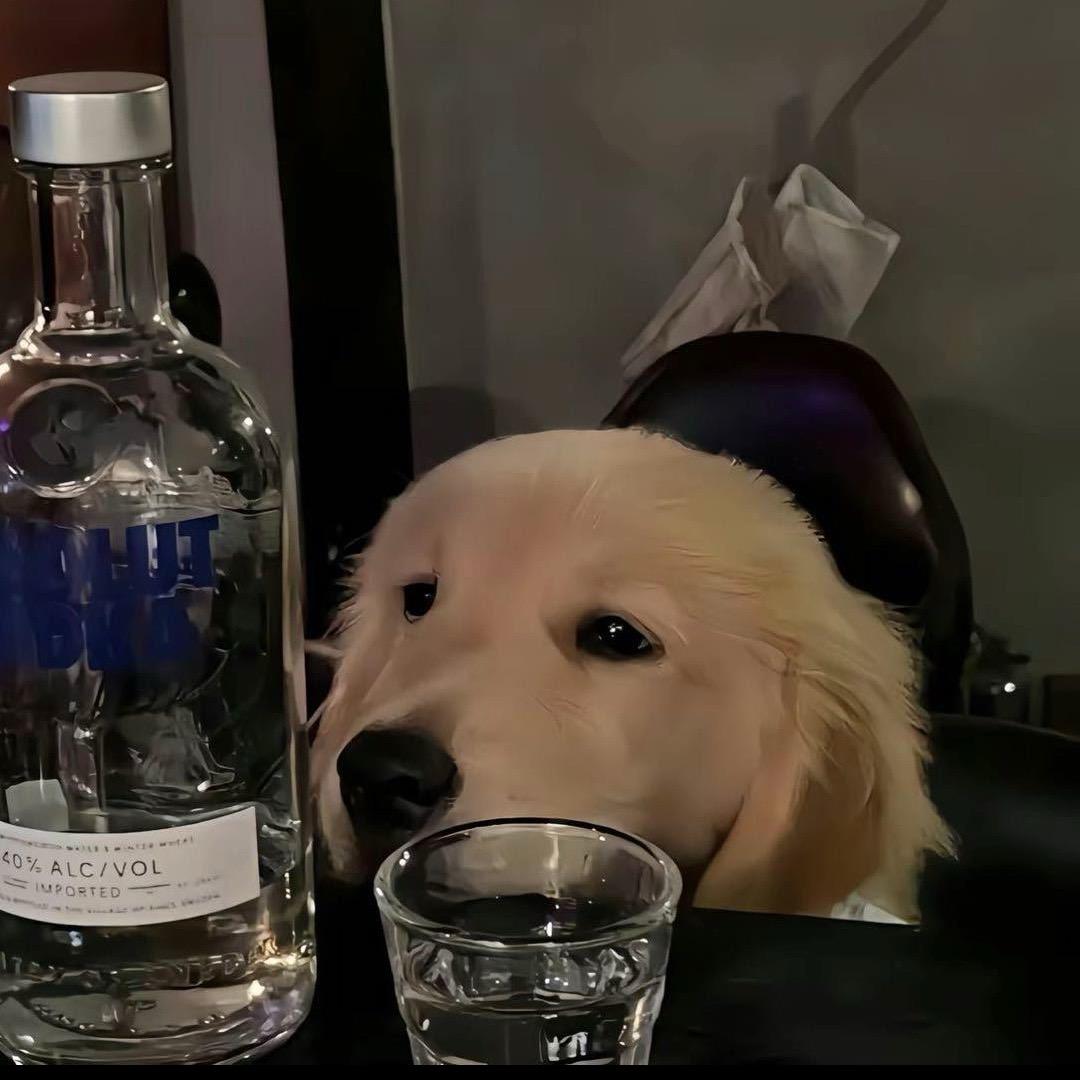 ikun