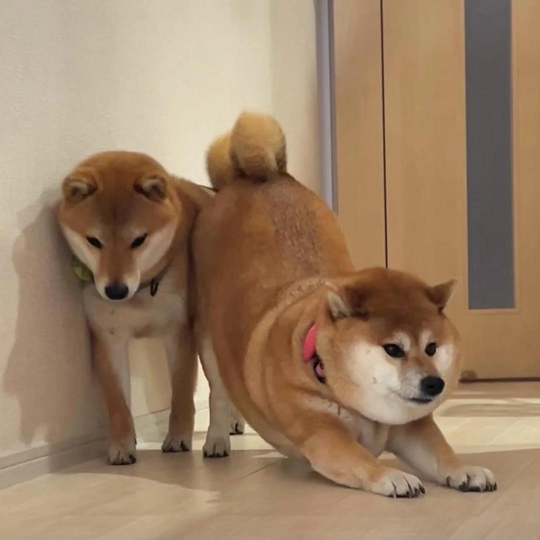零点黄昏ℬℰ