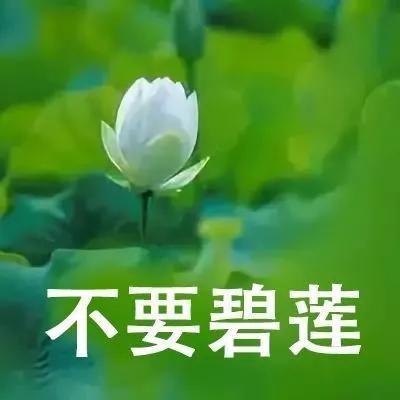 烬天🍖