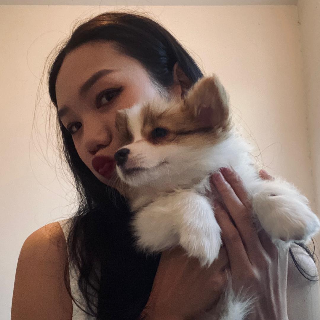 左阿左