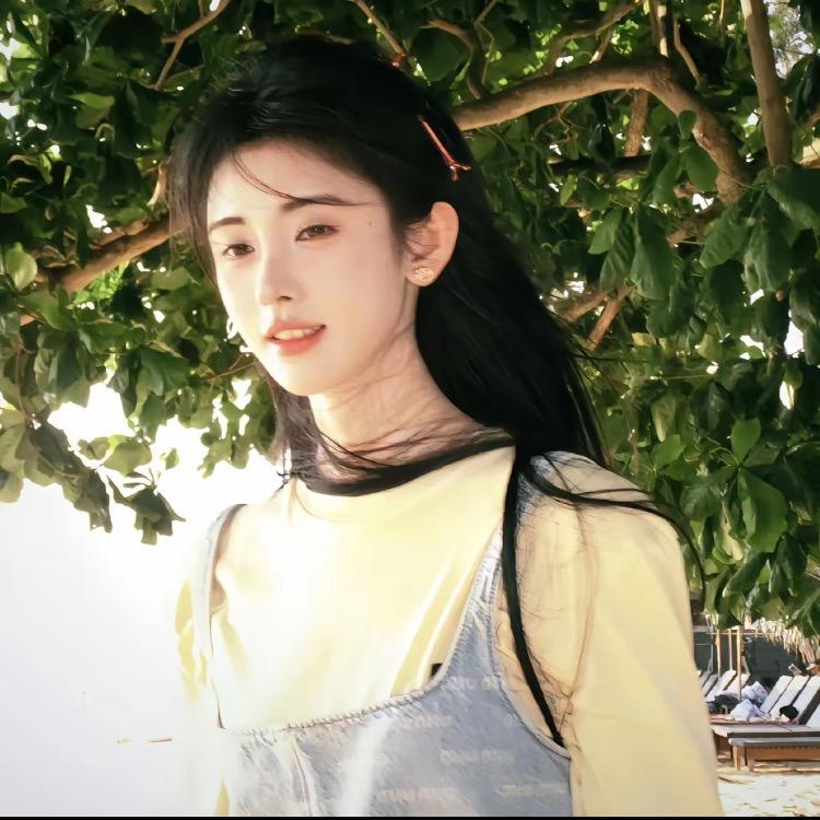 玫瑰凋零日记