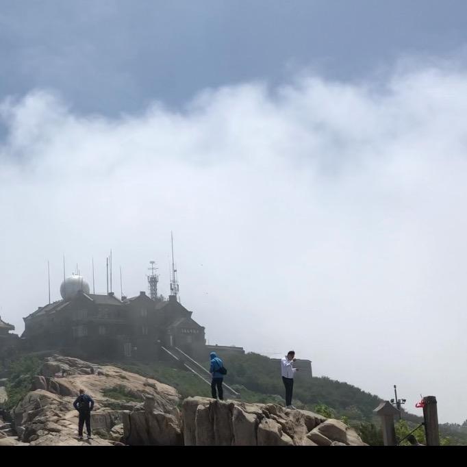 奔跑的火龙果