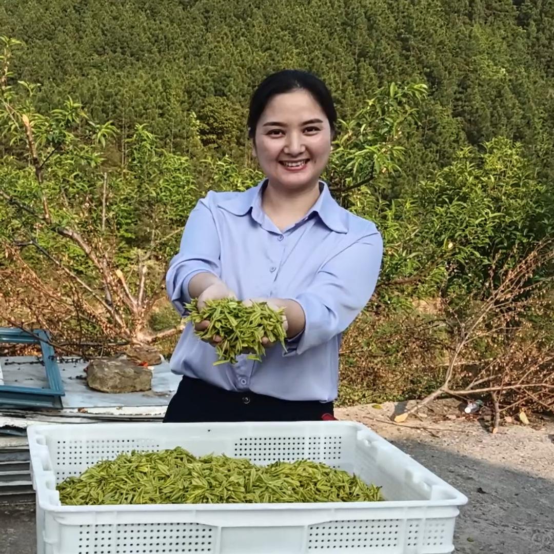 新田硒山茶·凤白叶