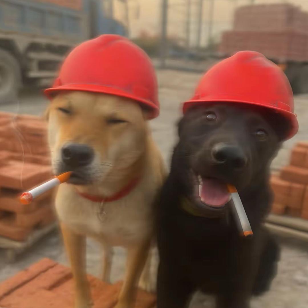 i小黄