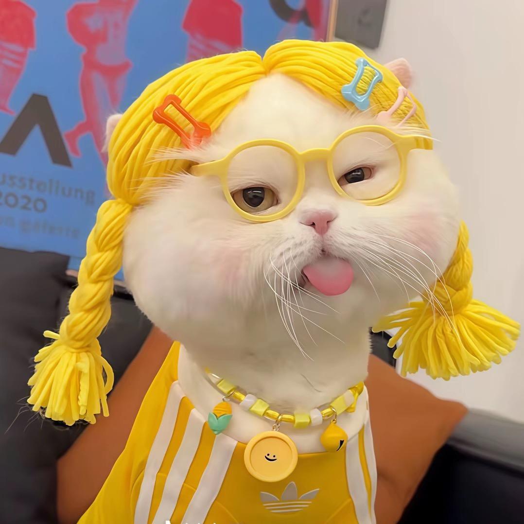 费玟熙_