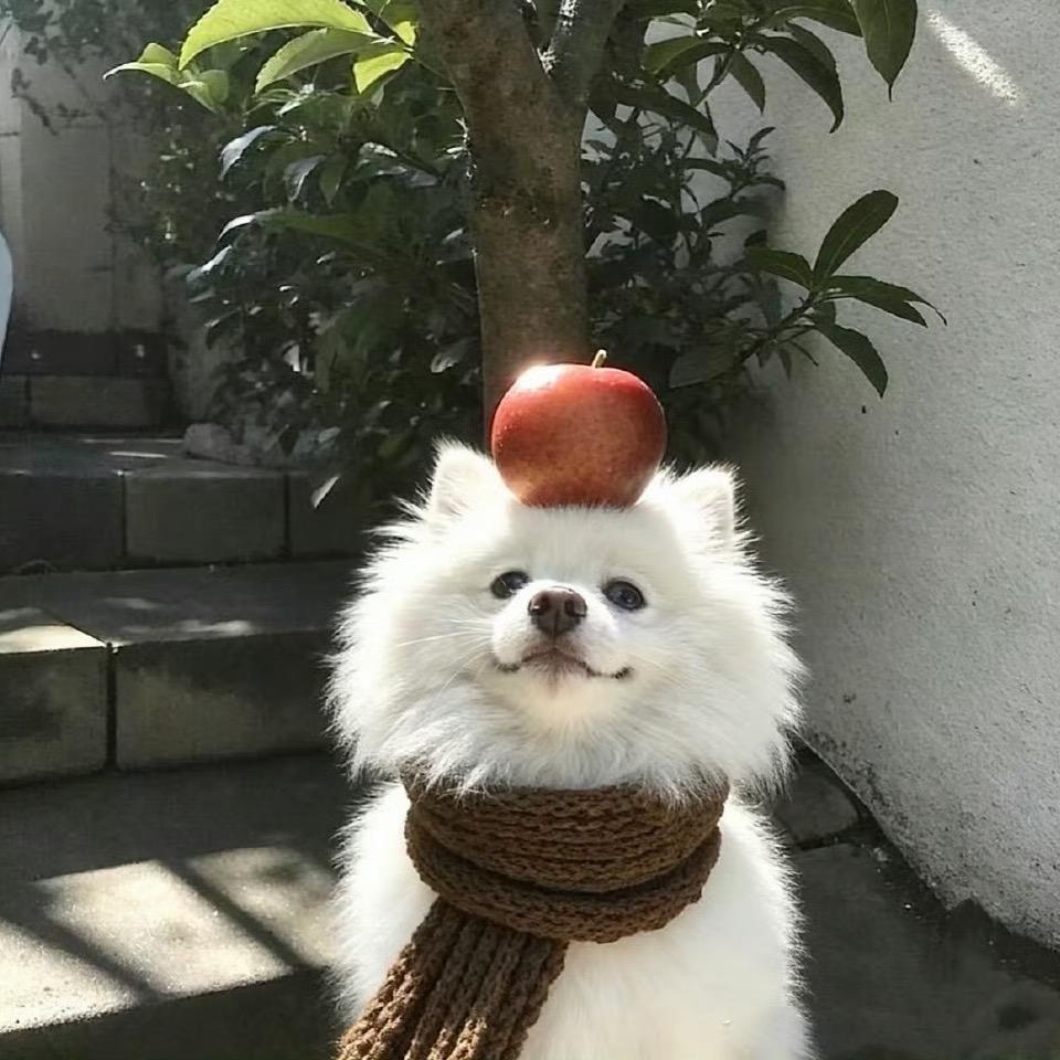 喜欢慢慢🎈✌️