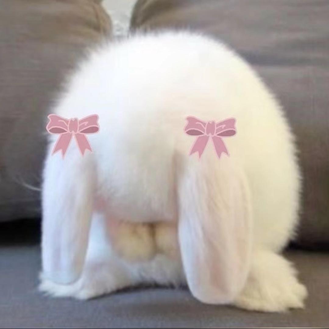 ˚⋆ꔫ 年糕糕˚‧⁺