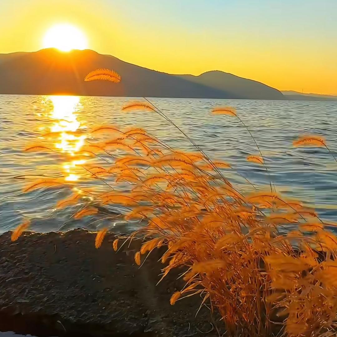 小助理幸福美满