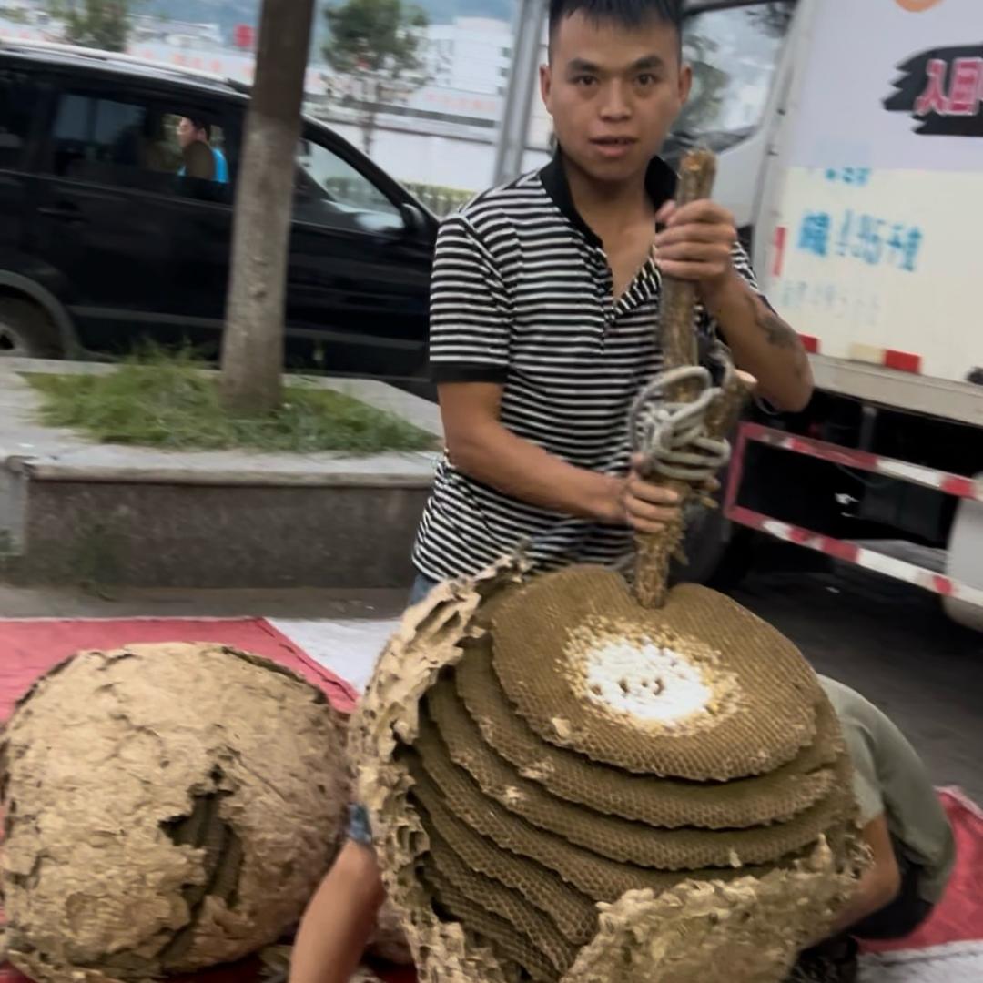 林老板的蜂