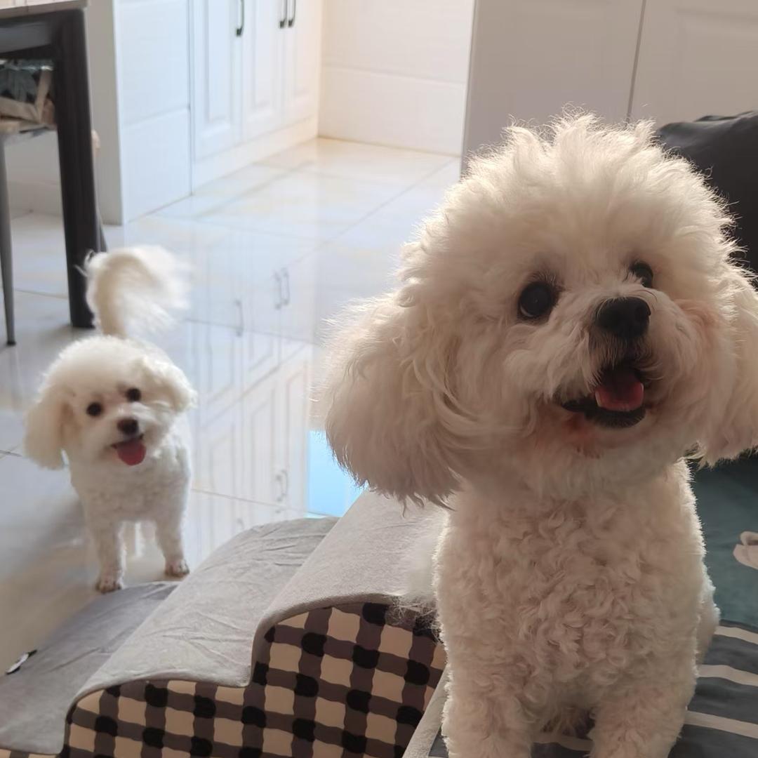 我给你买个6啊 