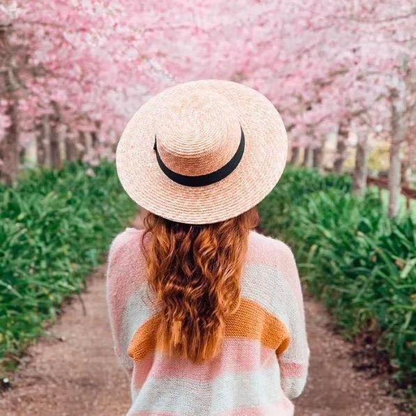 铭盛视传媒-夏天的风