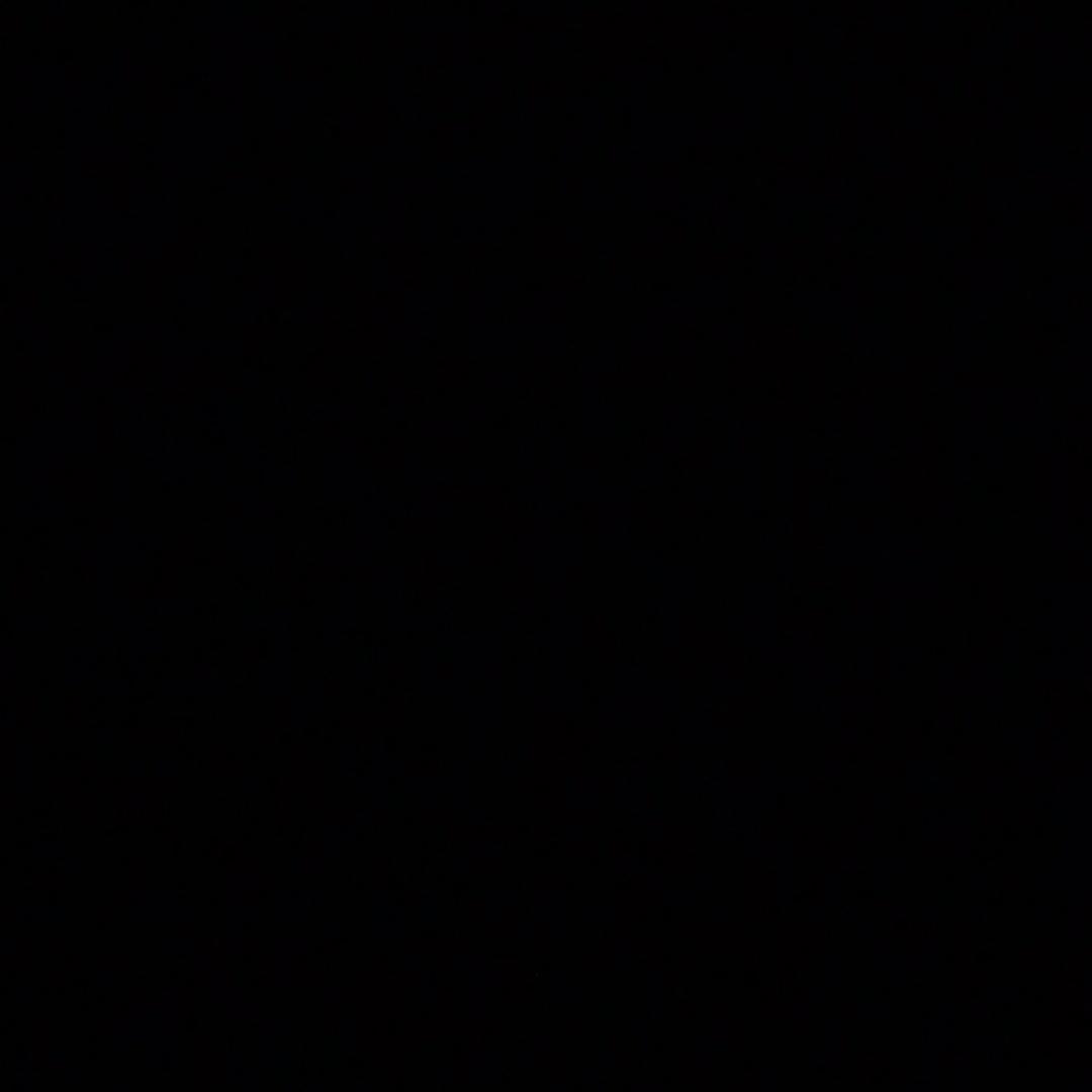 一只鱼🐟