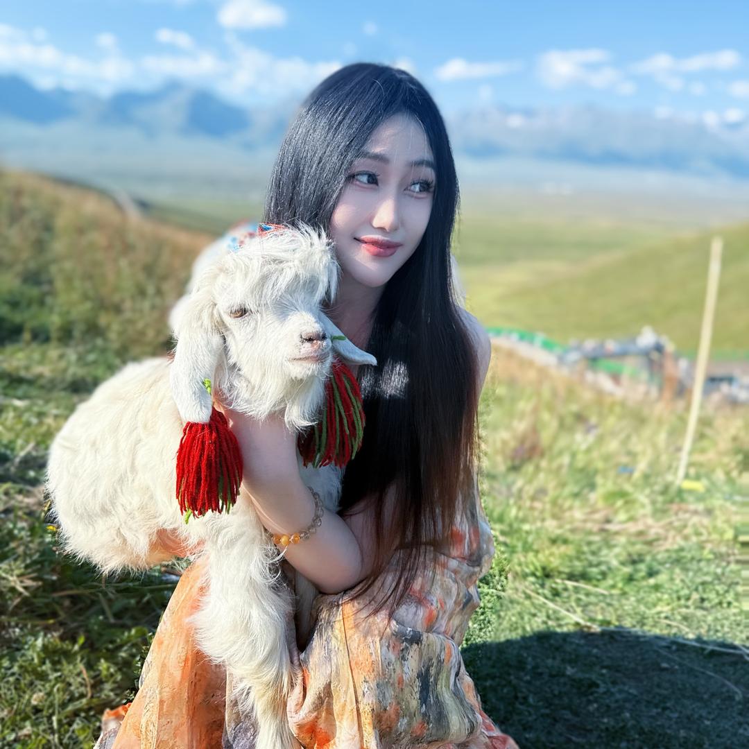 是琪琪吖💃