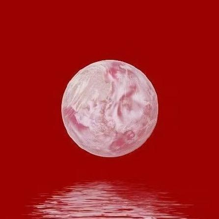 殳女