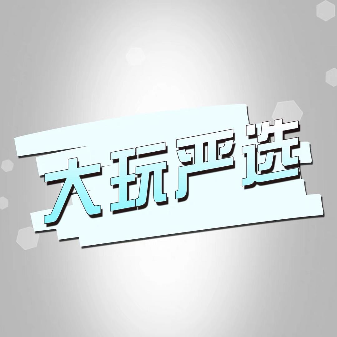 大玩严选