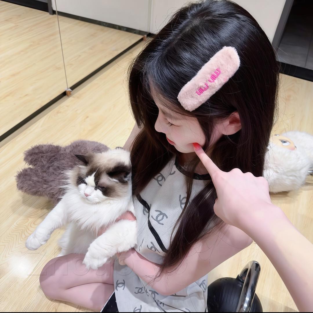 蛋挞小辰