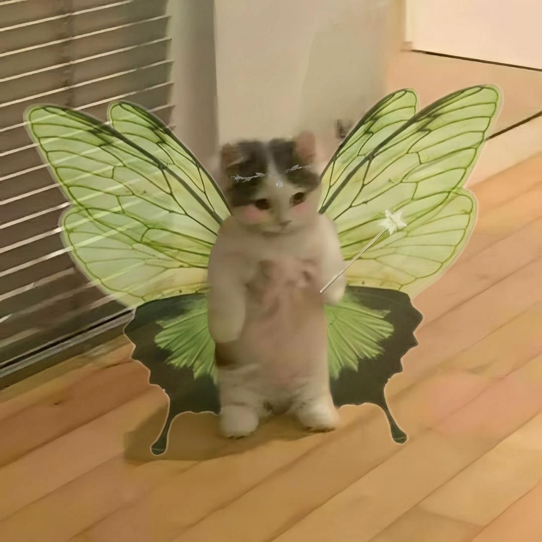 🌈小蒋小白🌈