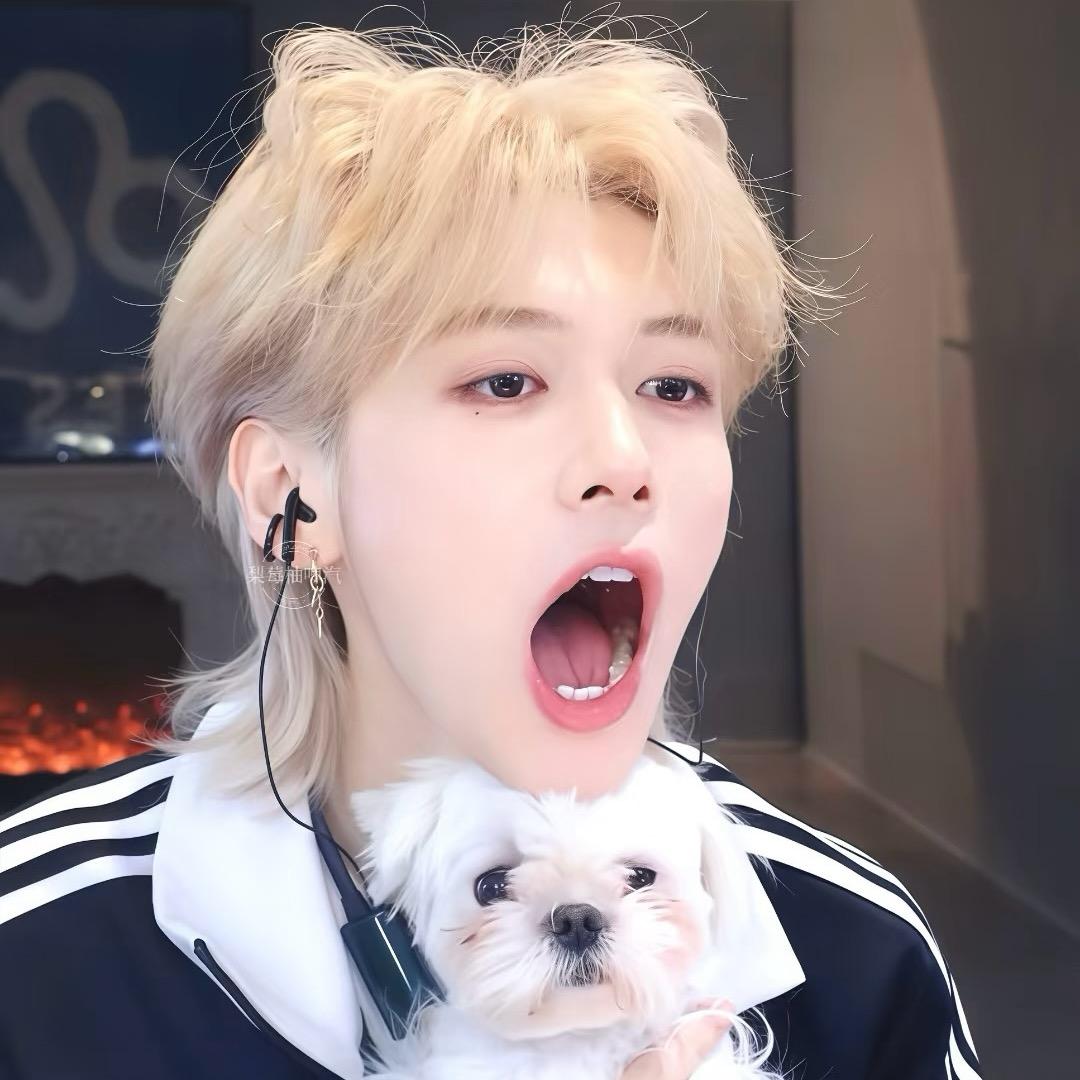 日渐增胖的仙女鸭