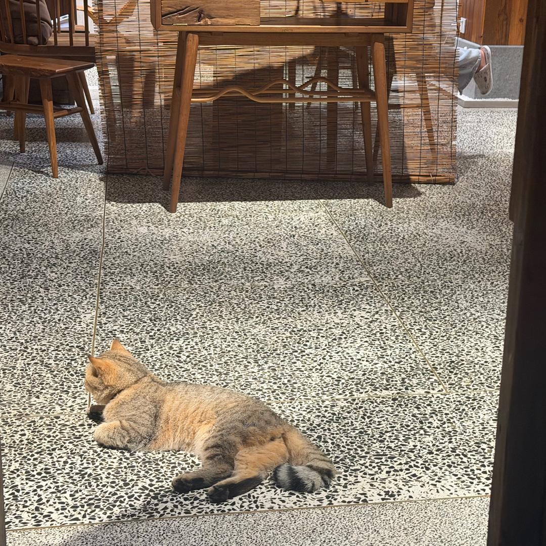 按时睡觉并不难