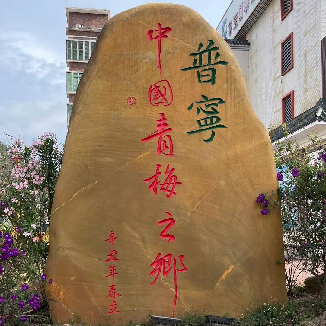 山里山外珍品