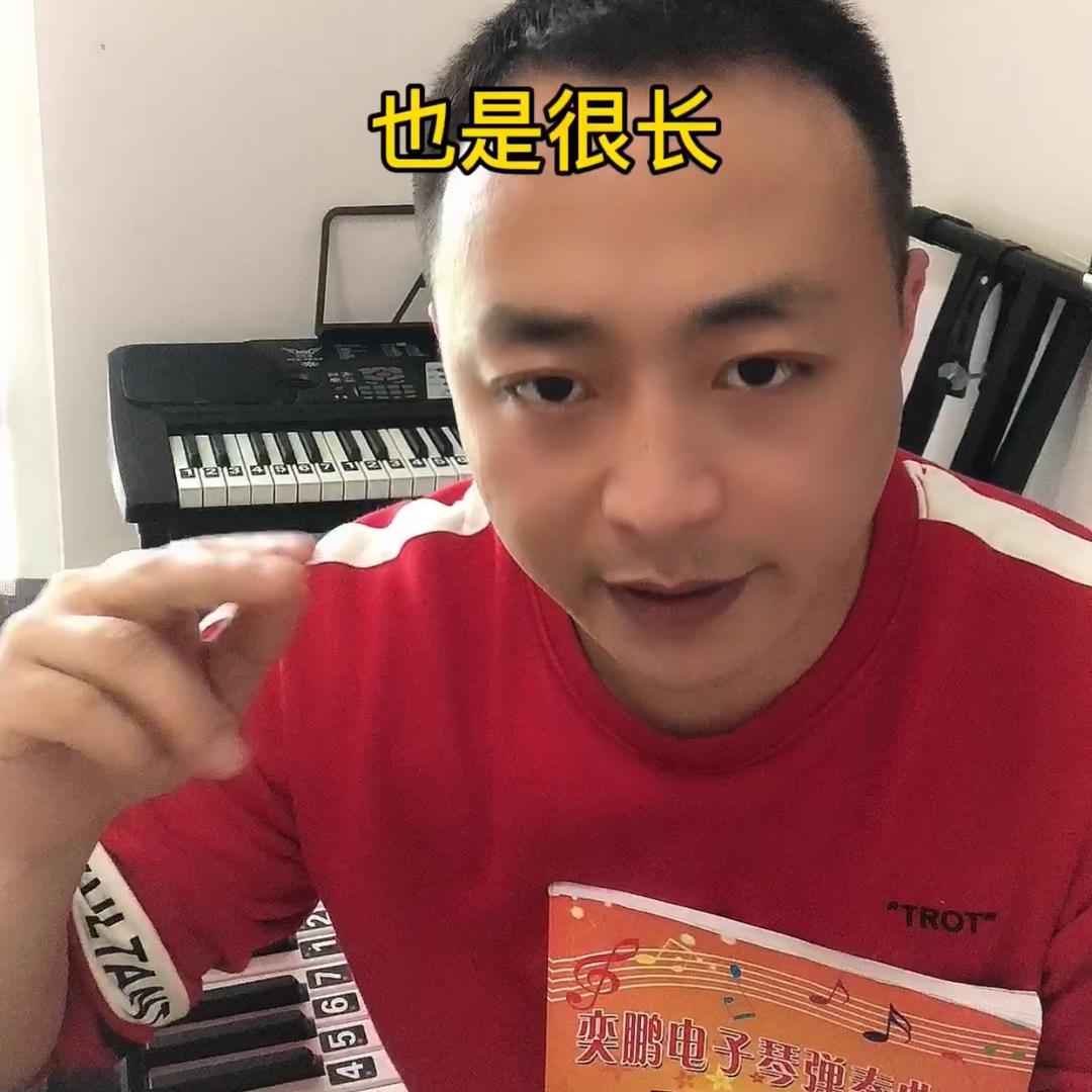 奕鹏电子琴